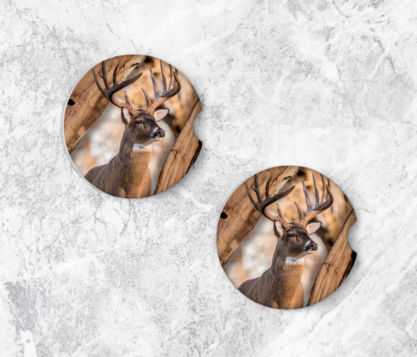 Wildlife car coasters