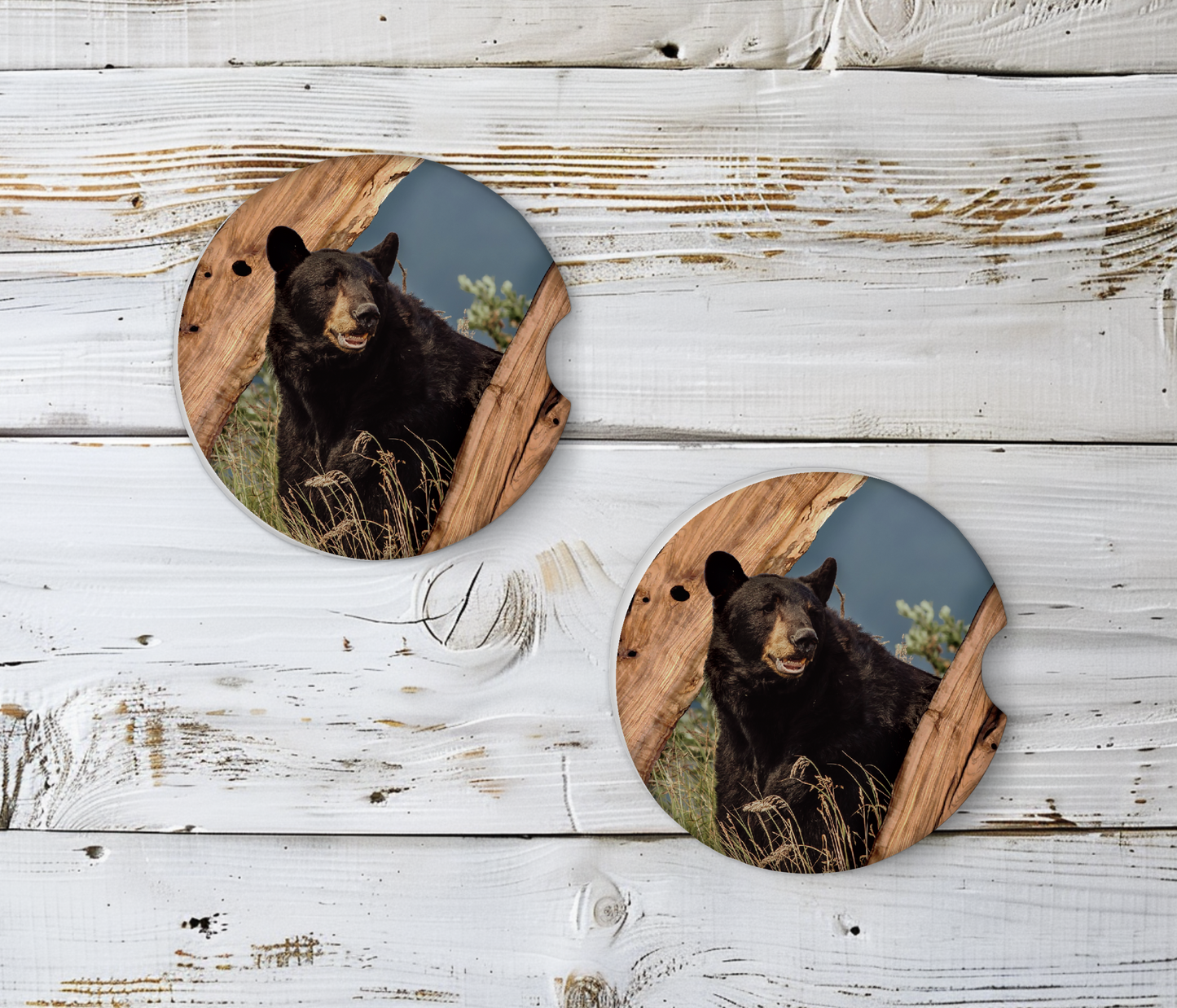 Wildlife car coasters
