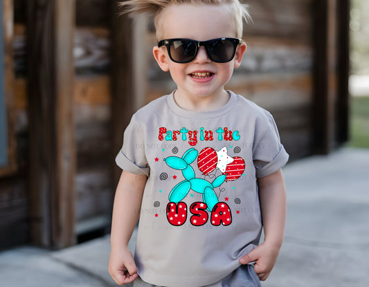Boys party in the USA T-shirt