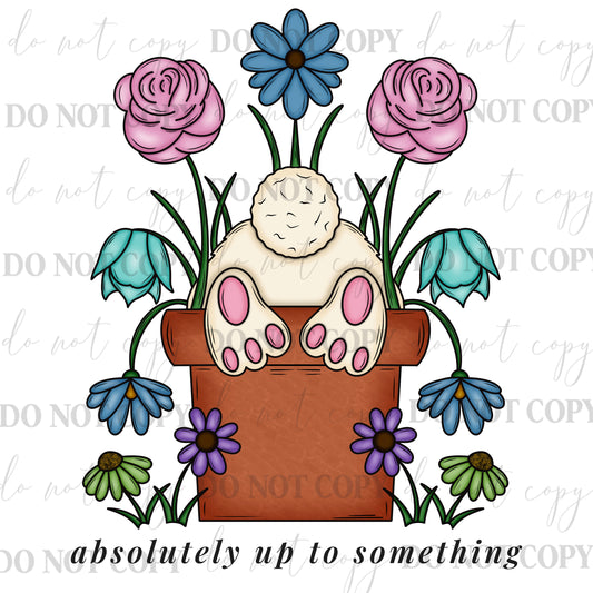 Absolutely Up to Something Bunny PNG